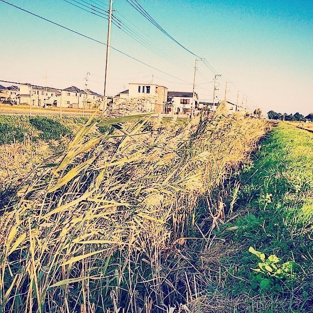 菅間の田園風景